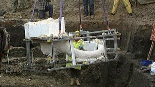 West Runton elephant remains lifted from the beach