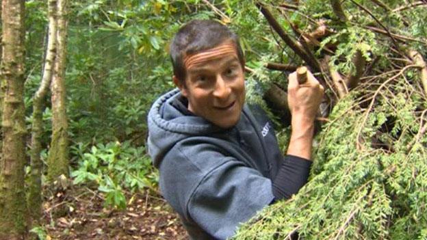 Bear Grylls