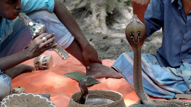 Snake charmers in Calcutta in 2013