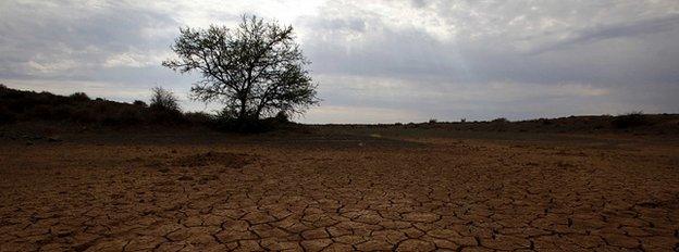 Parched farmland (Image: Reuters)