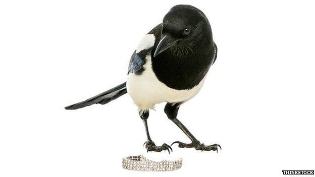 Magpie