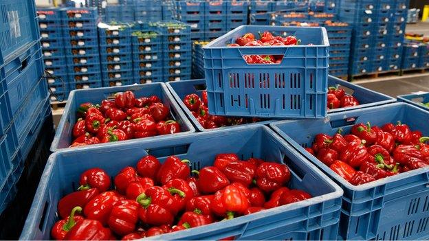 Peppers at Zaltbommel fruit and vegetables market, Netherlands