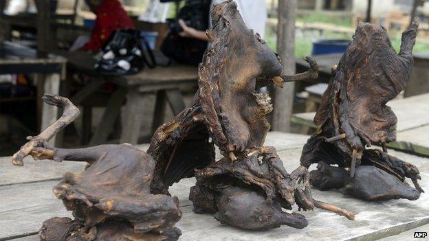 Dried bush meat, at the Ajegunle-Ikorodu market in Lagos, Nigeria (13 August 2014)