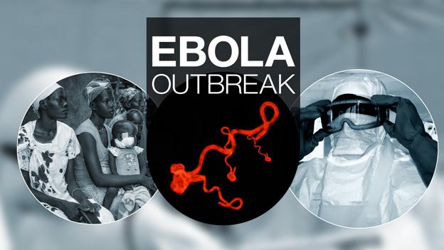 Ebola graphic