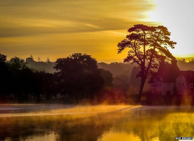 Sunrise in the New Forest