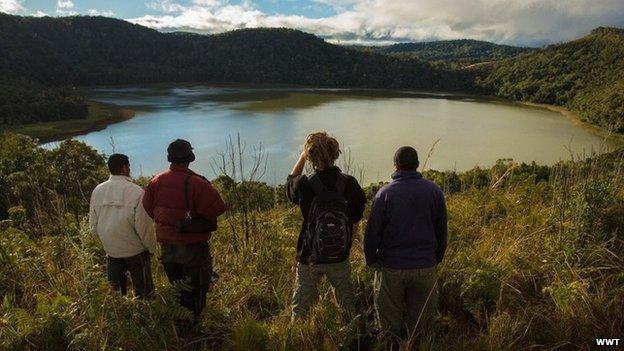 Wetland in Madagascar, home of the Madagascar pochard