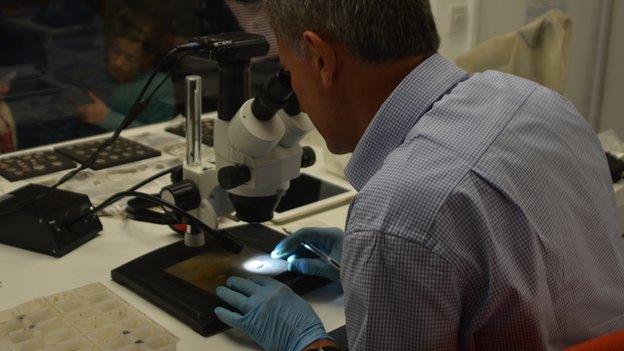 Richard Miles looks through microscope