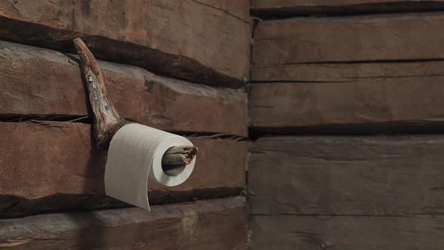 Toilet roll on a wall