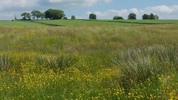 Eycott Hill near Keswick