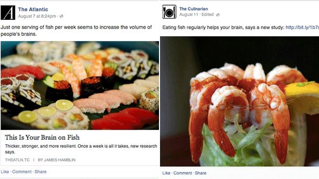 Two different kinds of Facebook posts about fish