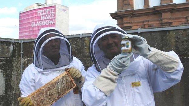 Bees on Glasgow City Chambers roof