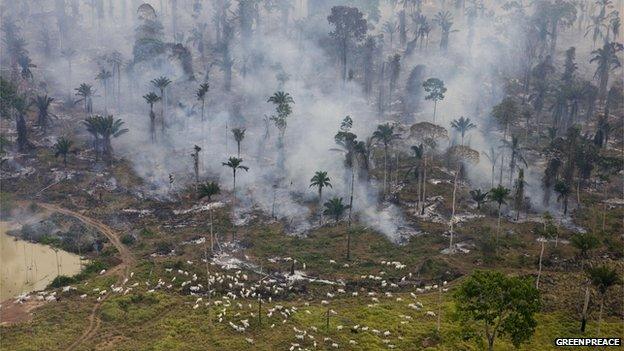 Man-made fires clear land for cattle or crops in Sao Felix Do Xingu Municipality, Para, Brazil, 12/08/2008