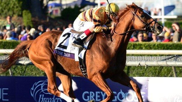 Wise Dan winning at the 2013 Breeders' Cup meeting