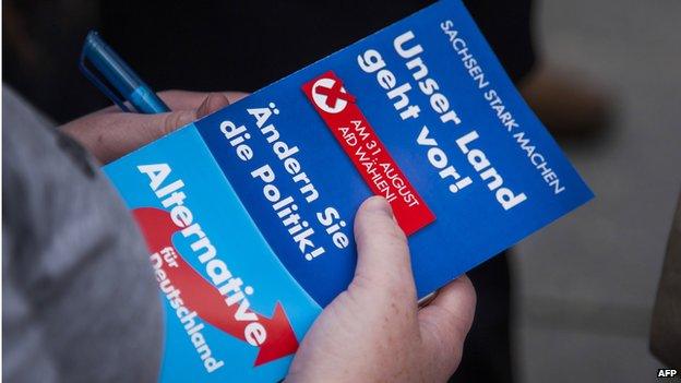 A woman holds a leaflet by AfD in canvassing on 25 August 2014