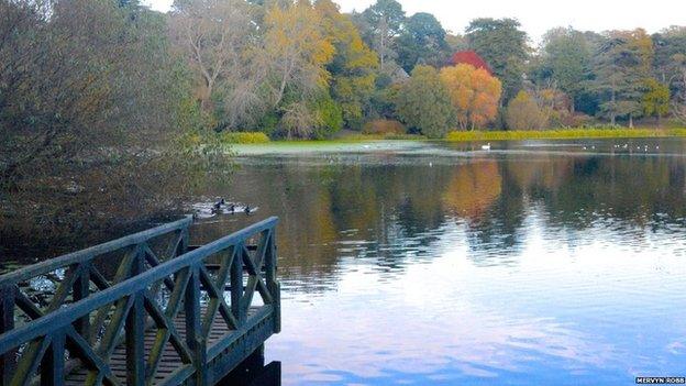 Autumn colour at Mount Stewart. Photo by Mervyn Robb