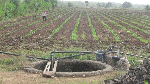 Open wells on farms which turn death traps for lions often falling inside