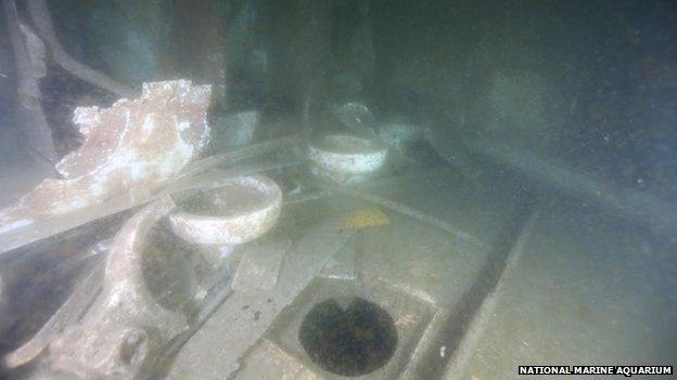 Debris inside Scylla wreck. Pic: National Marine Aquarium