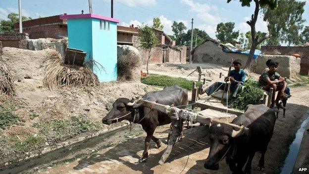 A bullock cart passes by a newly built toilet by NGO Sulabh International at Katra Sahadatgunj village in Badaun on August 31, 2014