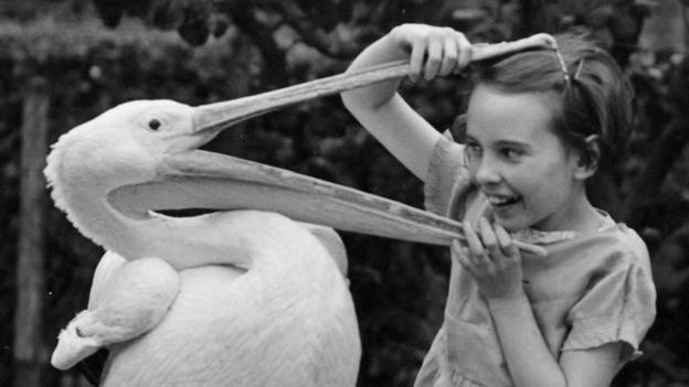 June plays with a pelican