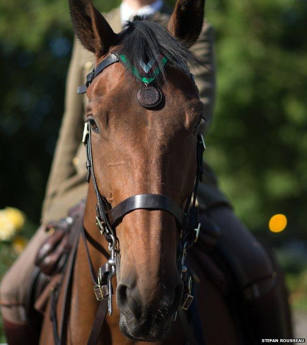 Galaxy ridden by Capt Nick Watson of the Kings Troop, Royal Horse Artillery receives the Honorary PDSA Dickin Medal on behalf of WWI war horse Warrior