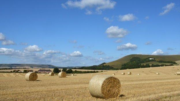 South Downs