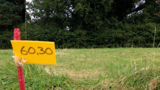 Site markers at Tullyhogue Fort, near Stewartstown, County Tyrone, ahead of dig