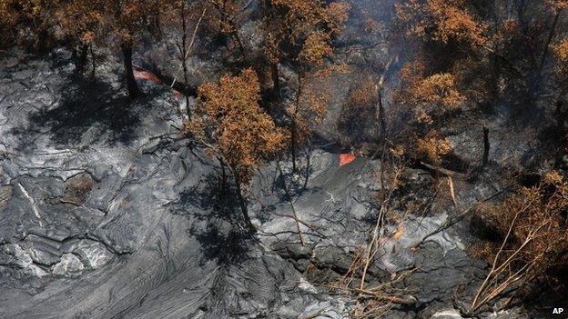 Fluid lava streams from the June 27 lava flow from the Kilauea volcano in Pahoa, Hawaii 29 August 2014