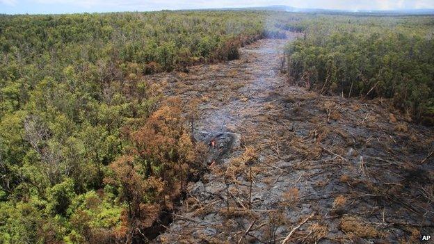 In this Sept. 1, 2014 photo released by the U.S. Geological Survey, fluid lava streams from the June 27 lava flow from the Kilauea volcano in Pahoa, Hawaii.