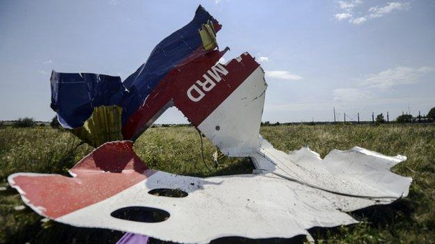 A piece of debris of the fuselage at the crash site of the Malaysia Airlines Flight MH17 near the village of Grabove, some 80km east of Donetsk, on 25 July 2014.