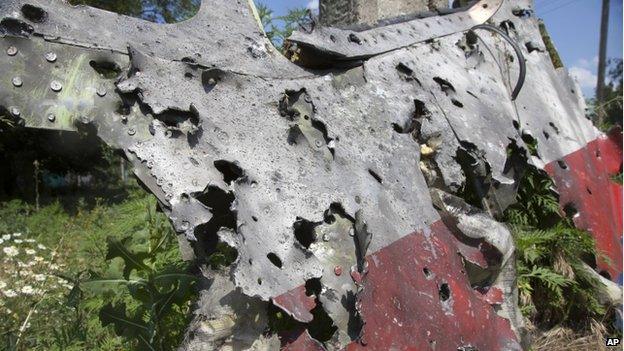 A piece of the crashed Malaysia Airlines Flight 17 lies in the village of Petropavlivka, Donetsk region, eastern Ukraine, on 23 July 2014