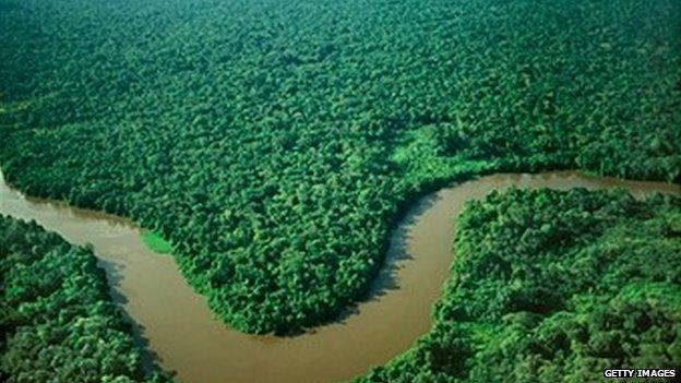 Amazon rainforest