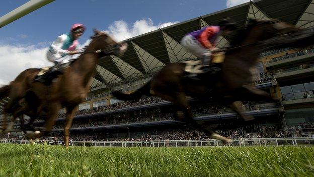 Estimate has won twice at the Royal Ascot meeting