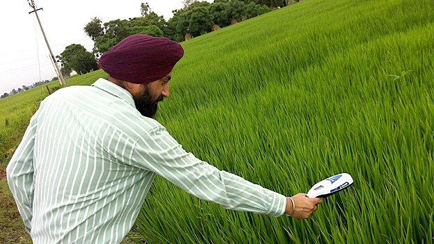 GreenSeeker being used by Mr Singh