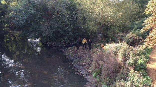 Officers search wooded area in Ealing