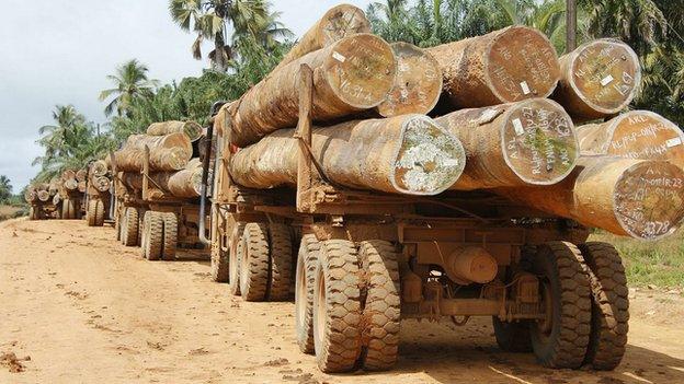 Logging in Liberia