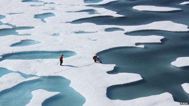 Melt ponds on Arctic floes