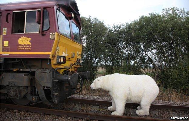 Polar bear in front of train