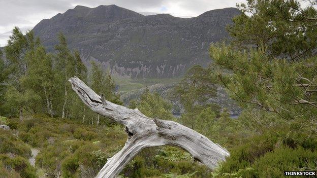 Beinn Eighe National Nature Reserve