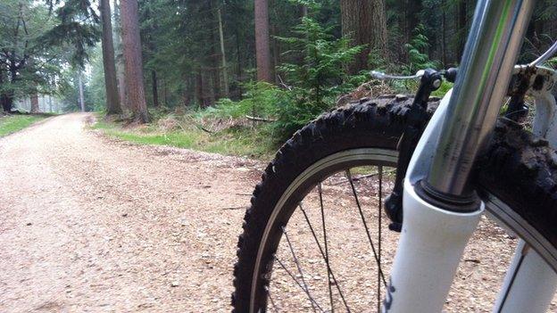 Bike in the New Forest