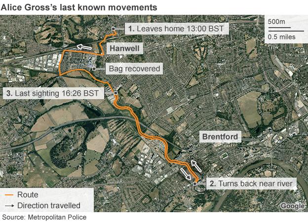 Satellite image showing Alice Gross's last known movements