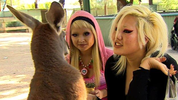 Two teenage visitor's at Featherdale zoo get up close to a kangaroo