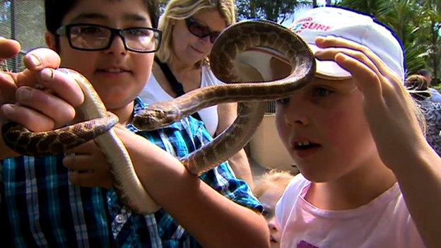 Children hold a snake at Featherdale Wildlife Park, a private zoo on the fringes of Sydney, Australia