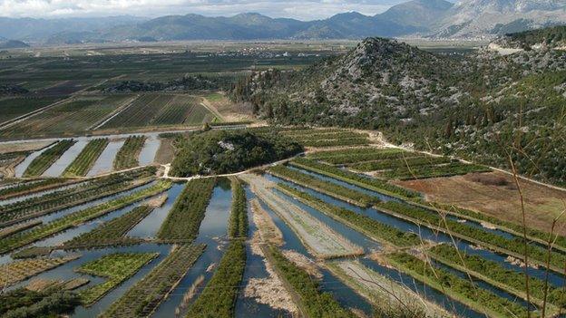 Intensive farming in Croatia - file pic