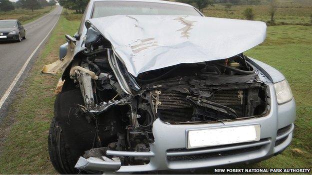 VW Touareg involved in fatal collision with pony