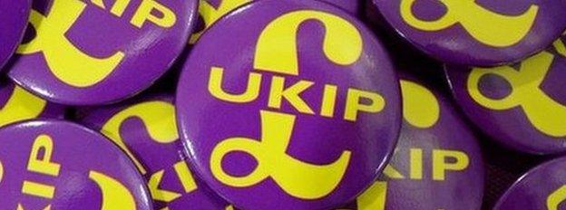 UKIP badges