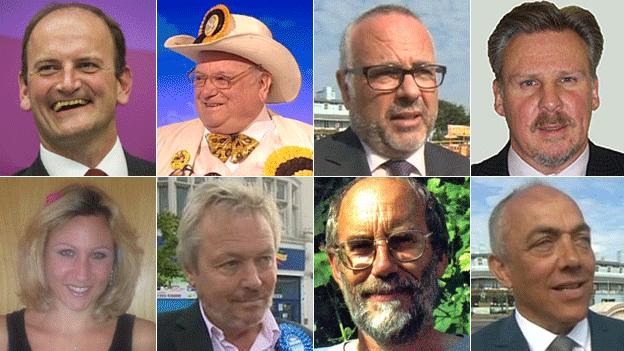 Clacton by-election candidates