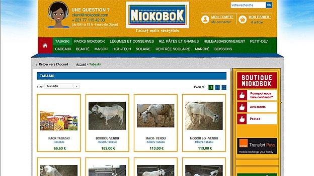 Niokobok website