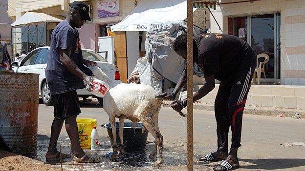 Washing the ram