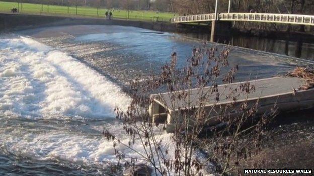 River fish pass