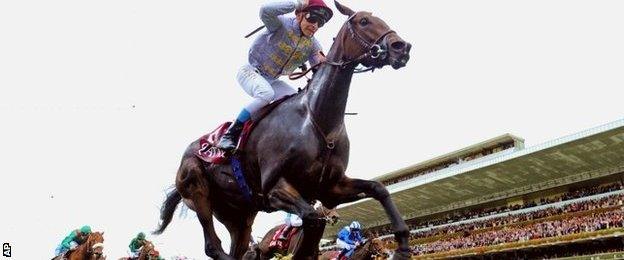 Treve wins the 2014 Arc at Longchamp